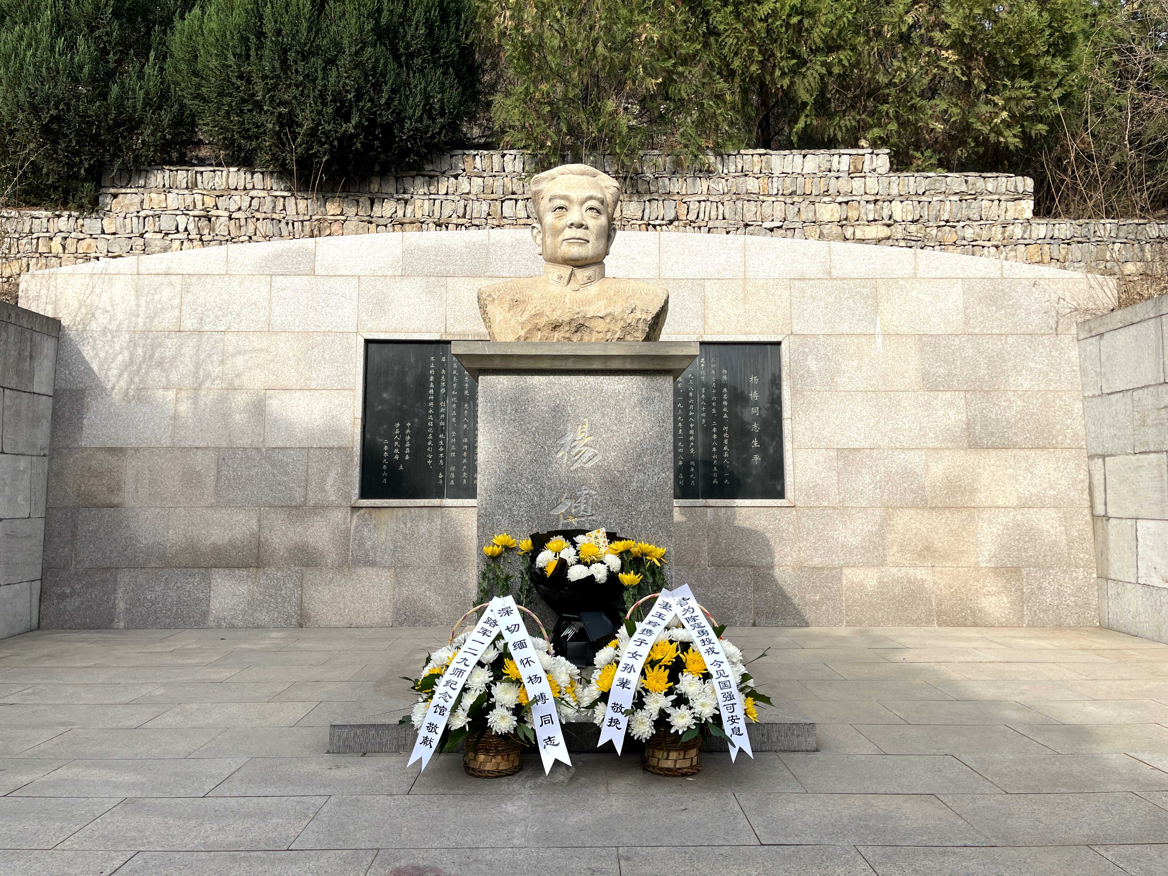 杨博
