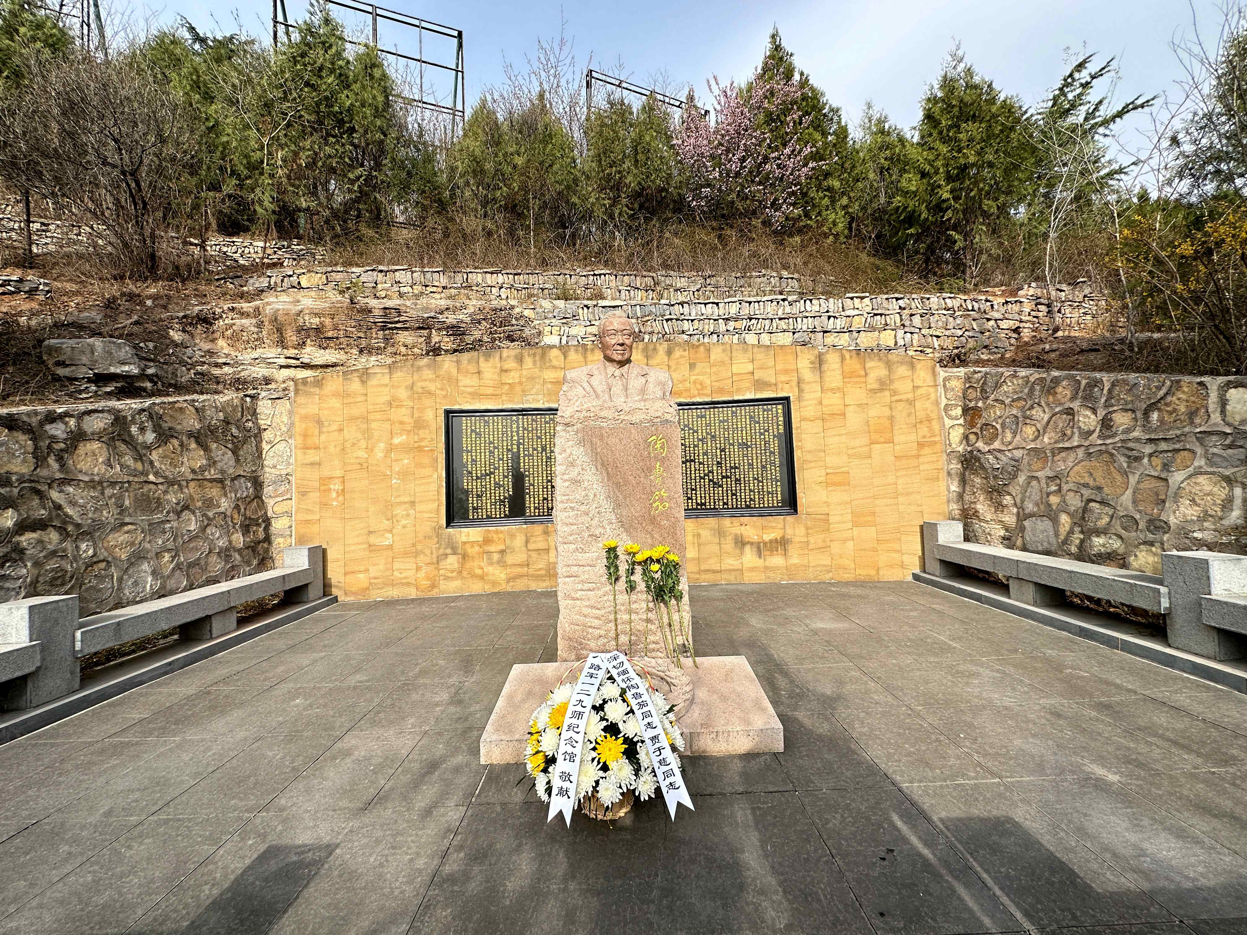 陶鲁笳